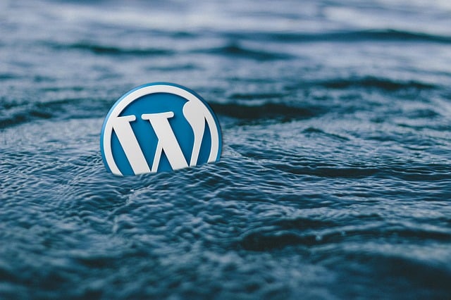 Logotipo de WordPress a la deriva en medio del mar, simbolizando el ocaso y la complejidad actual de la plataforma.