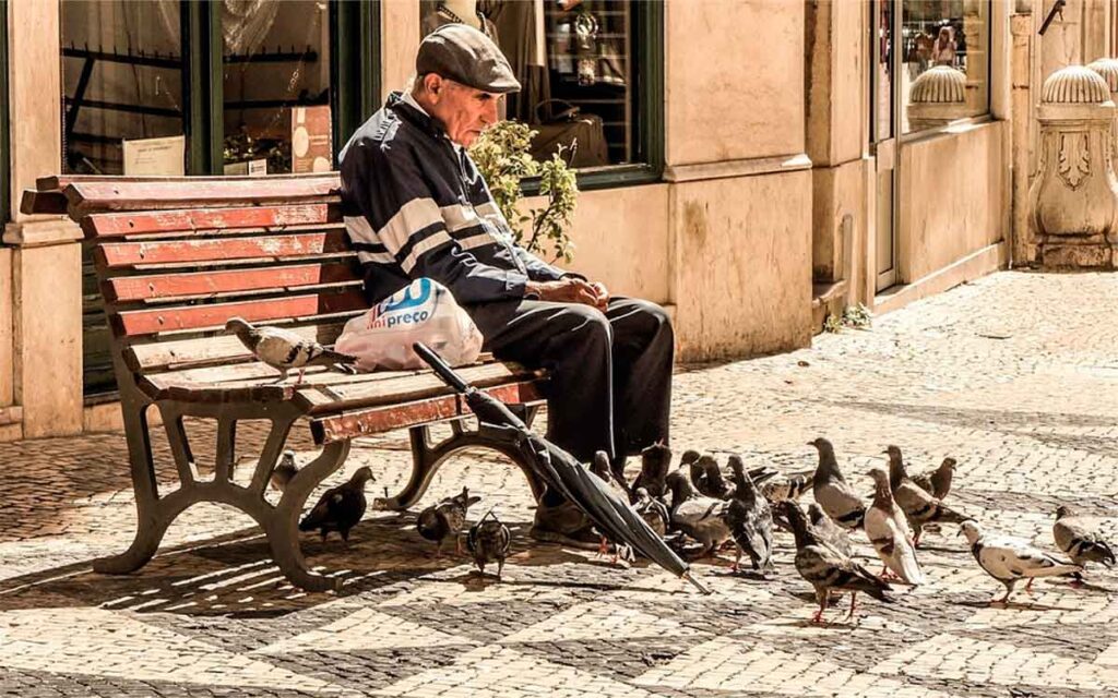 Anciano sentado en un banco de parque alimentando palomas con migas de pan, inspirado en el relato breve Abrazos de Pan de Gallego Rey